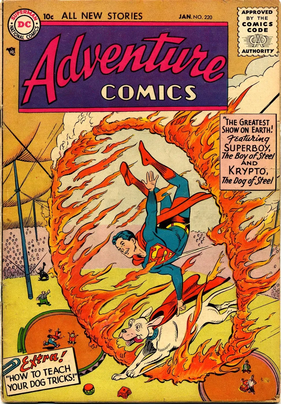 Cover of Adventure Comics #220