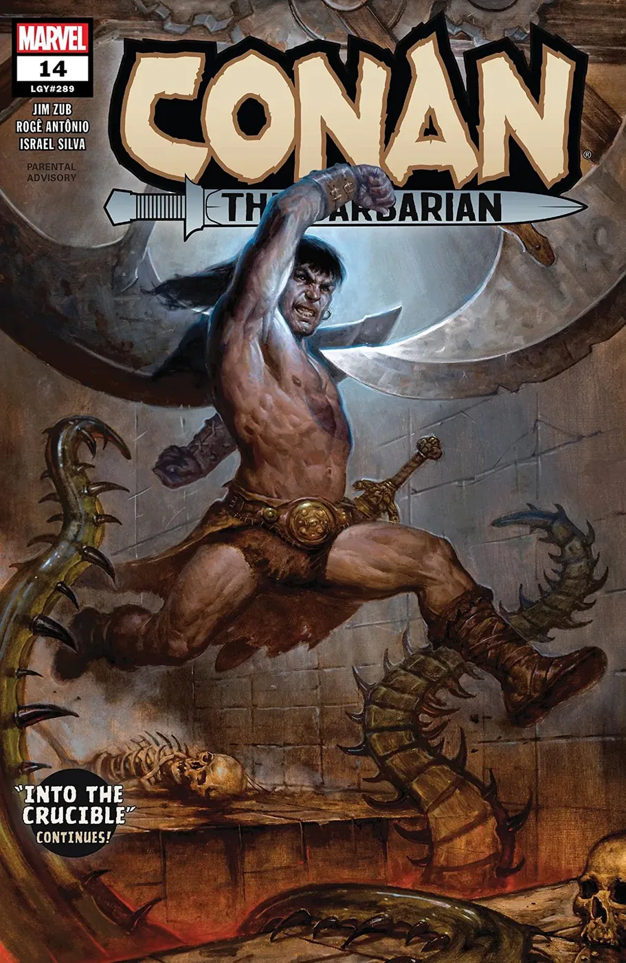Cover of Conan the Barbarian #14 (289)