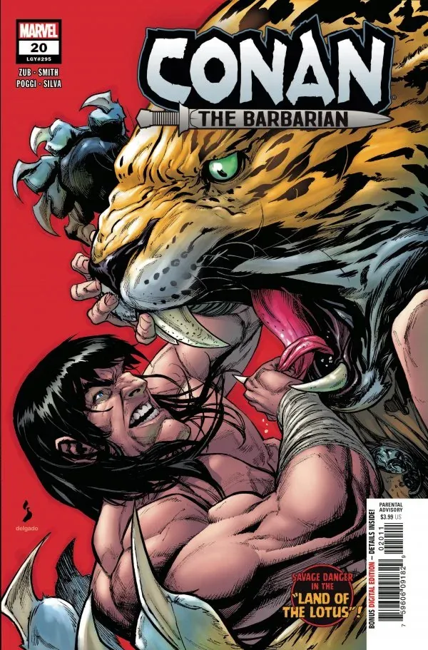 Cover of Conan the Barbarian #20 (295)