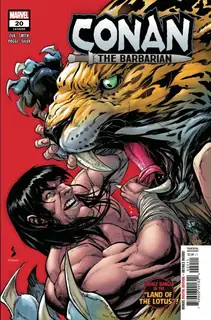 Cover of Conan the Barbarian #20 (295)