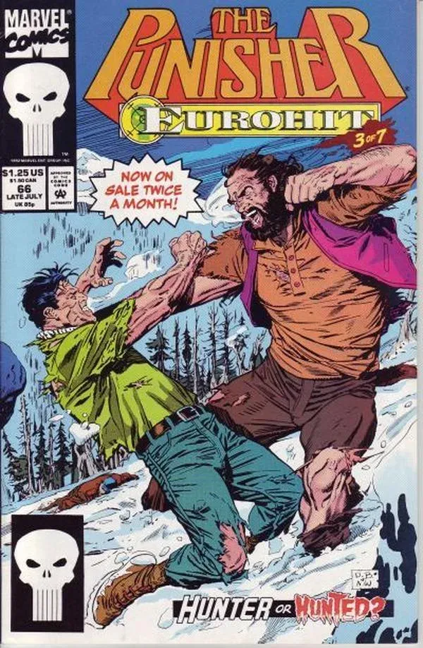 Cover of The Punisher #66