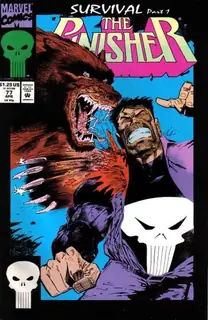 Cover of The Punisher #77