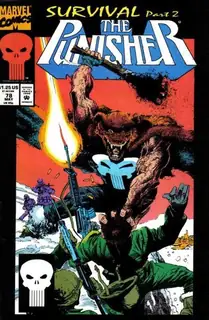 Cover of The Punisher #78