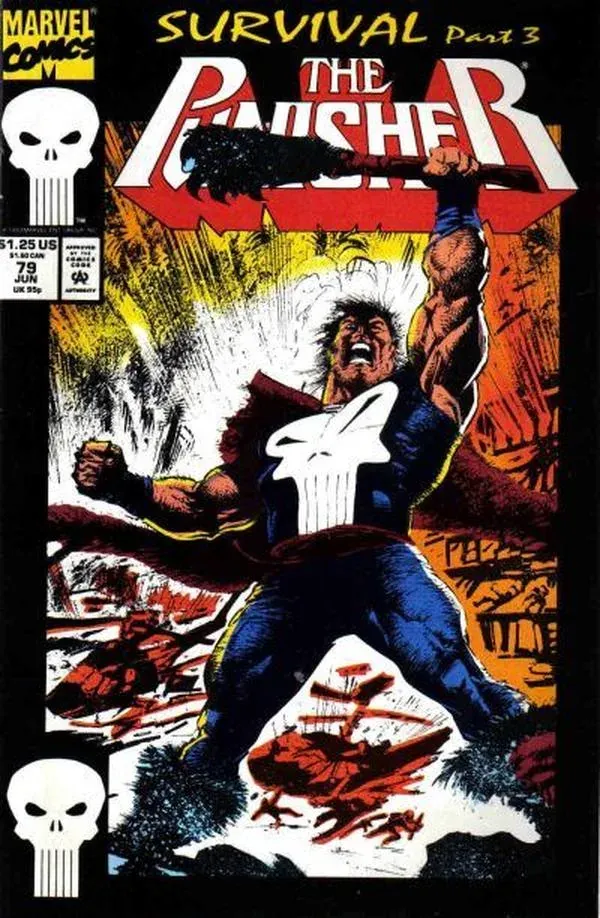 Cover of The Punisher #79