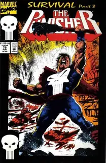 Cover of The Punisher #79