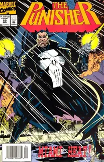 Cover of The Punisher #89