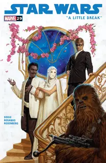 Cover of Star Wars #29