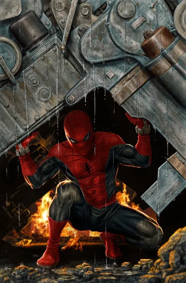 Cover of The Amazing Spider-Man #14 (978)