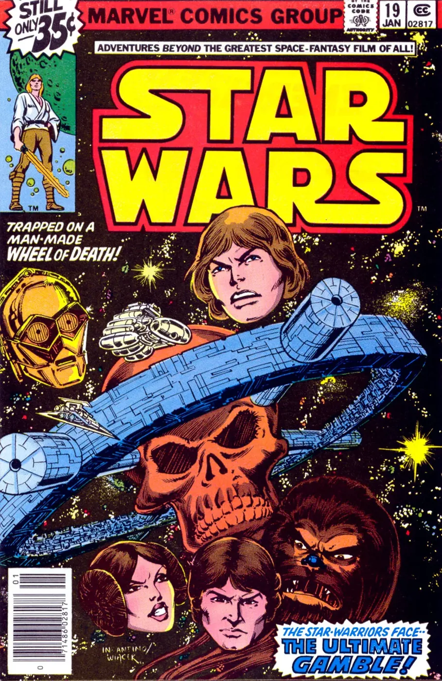 Cover of Star Wars #19