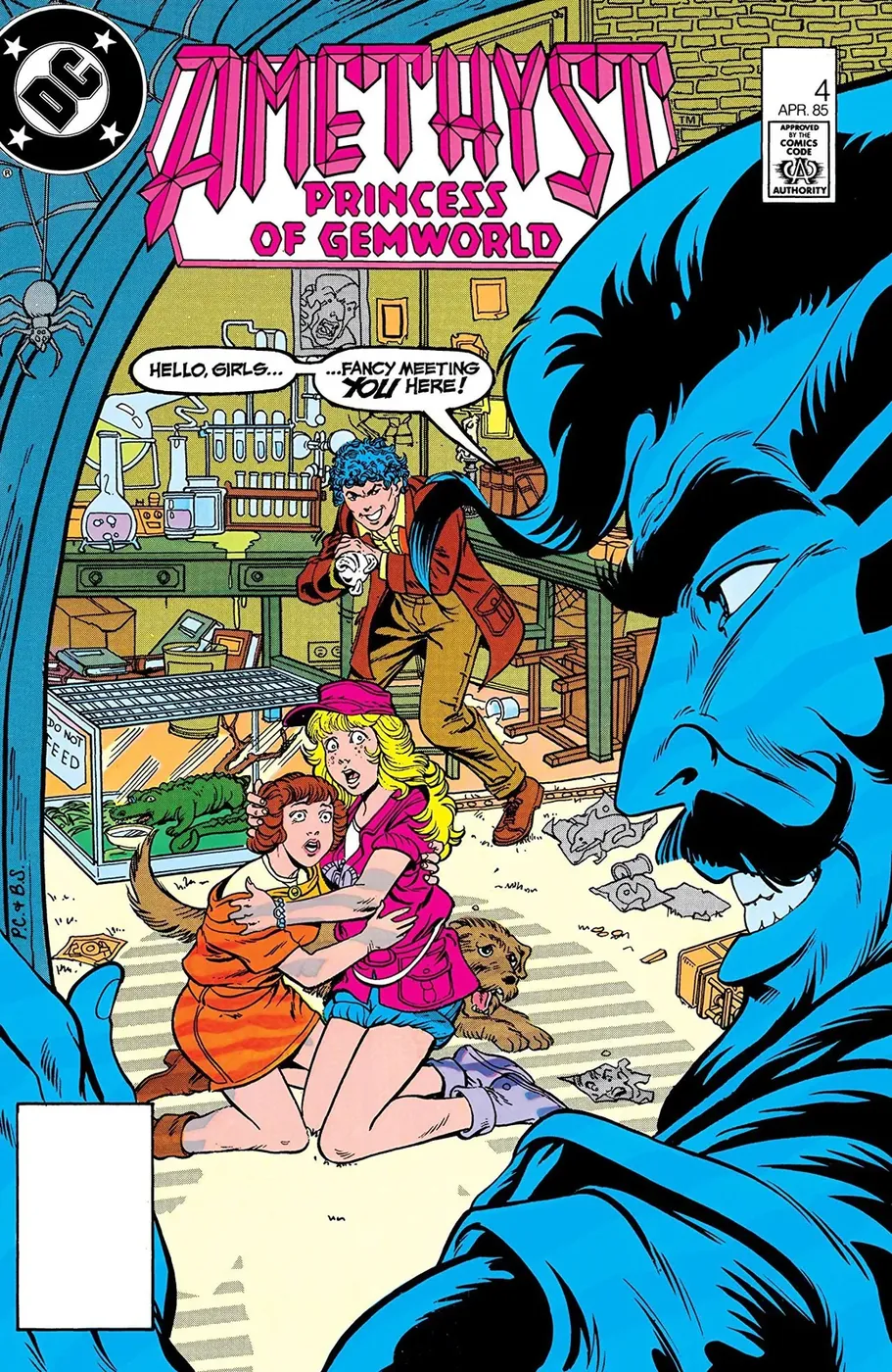 Cover of Amethyst #4