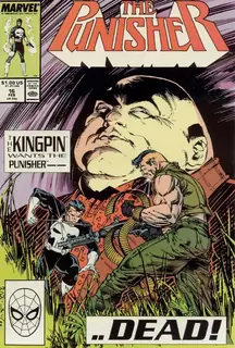 Cover of The Punisher #16