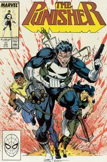 Cover of The Punisher #17