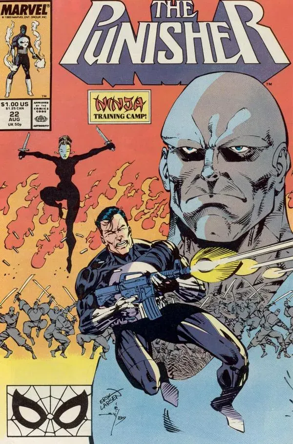 Cover of The Punisher #22