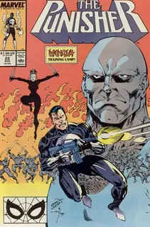 Cover of The Punisher #22