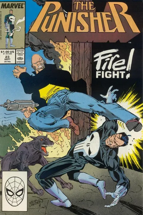 Cover of The Punisher #23