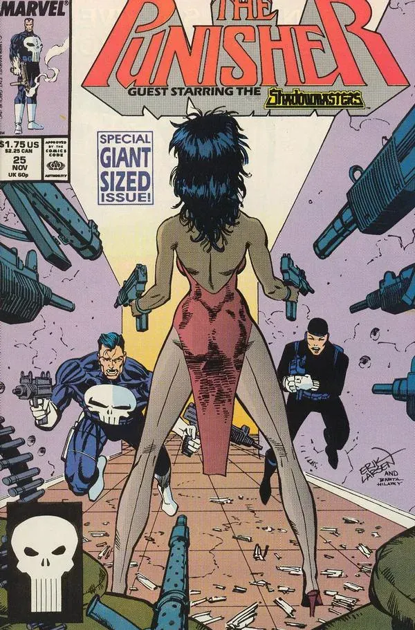 Cover of The Punisher #25