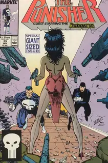 Cover of The Punisher #25