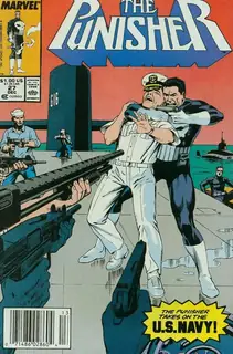 Cover of The Punisher #27