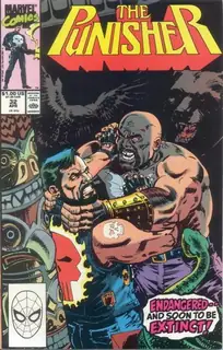 Cover of The Punisher #32