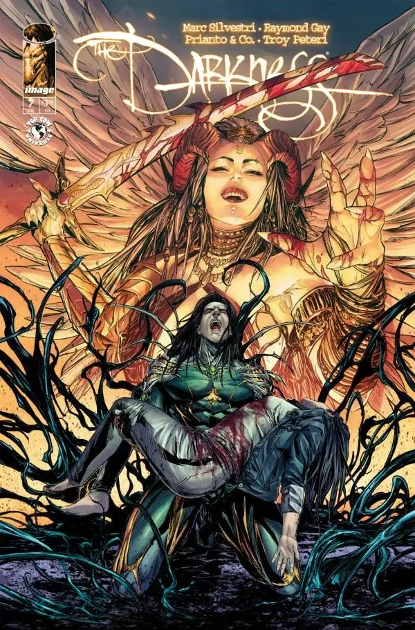 Cover of The Darkness #7