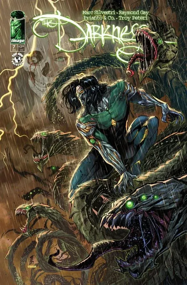 Cover of The Darkness #7