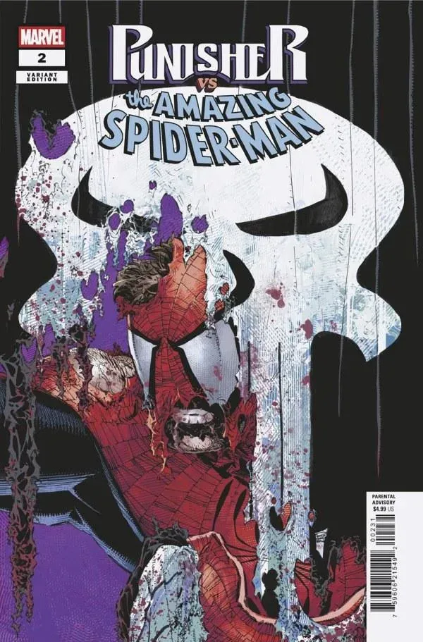 Cover of Punisher vs. Spider-Man #2