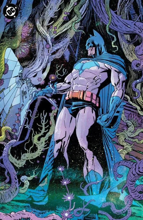 Cover of Batman #13