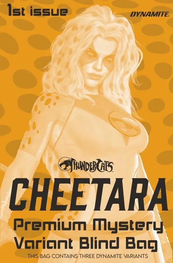Cover of ThunderCats: Cheetara #1