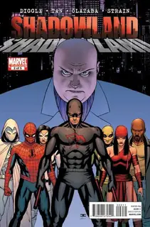 Cover of Shadowland #2