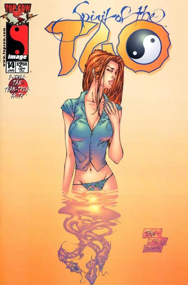 Cover of The Spirit of the Tao #14