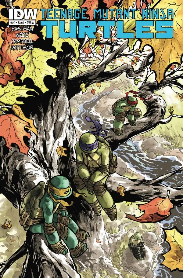Cover of Teenage Mutant Ninja Turtles #29