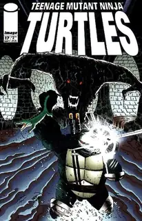 Cover of Teenage Mutant Ninja Turtles #17