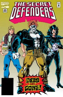 Cover of The Secret Defenders #25