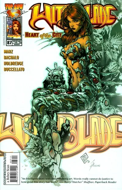 Cover of Witchblade #87