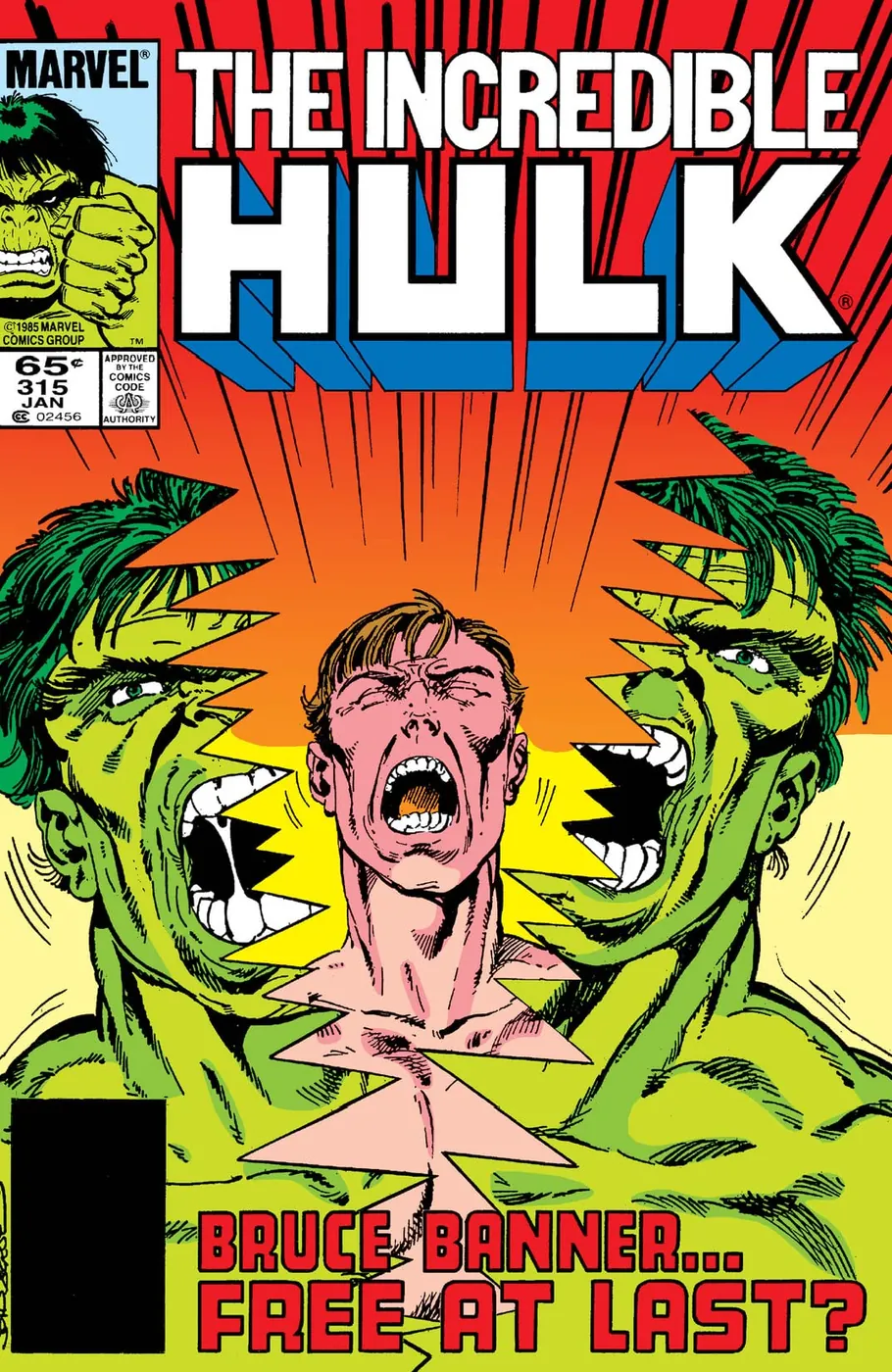 Cover of The Incredible Hulk #315