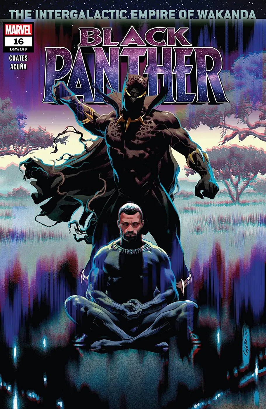 Cover of Black Panther #16 (188)