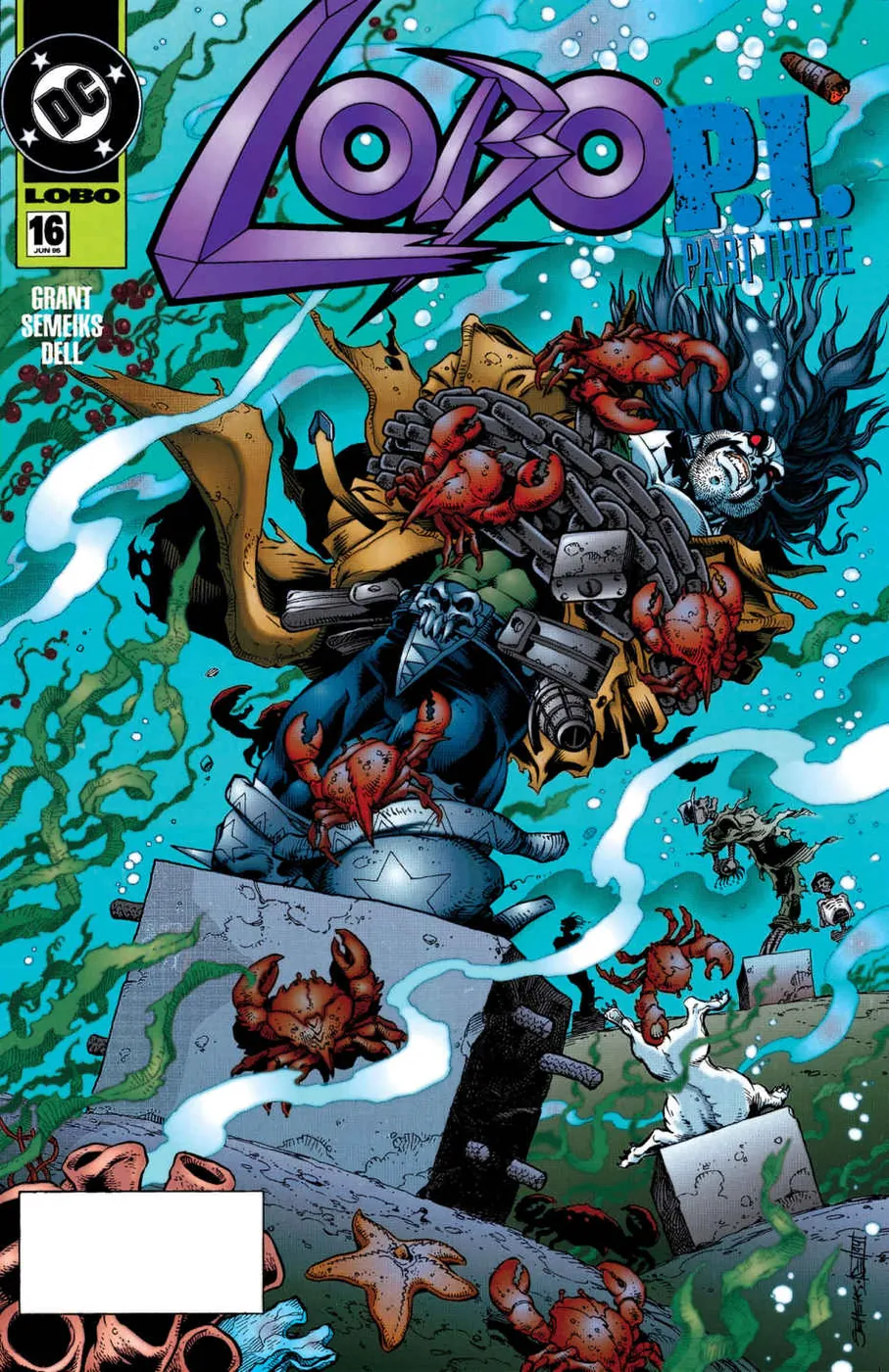 Cover of Lobo #16