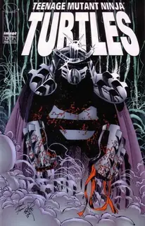 Cover of Teenage Mutant Ninja Turtles #13
