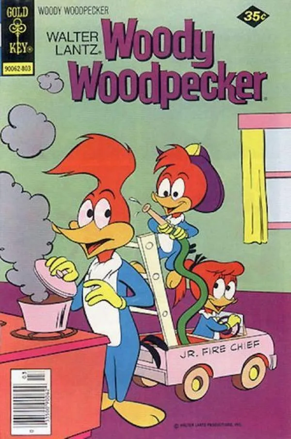 Cover of Walter Lantz Woody Woodpecker #164