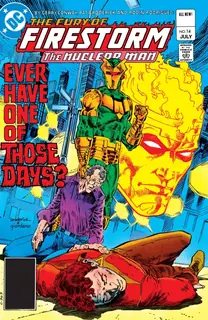 Cover of The Fury of Firestorm #14
