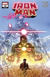 Cover of Iron Man #18 (643)