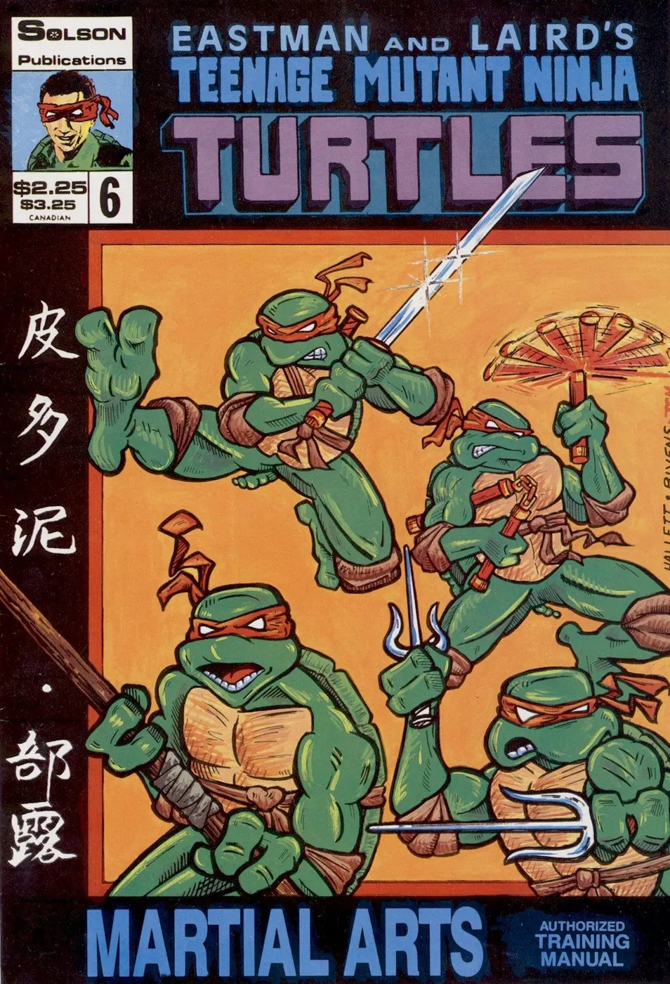 Cover of Teenage Mutant Ninja Turtles Authorized Martial Arts Training Manual #6
