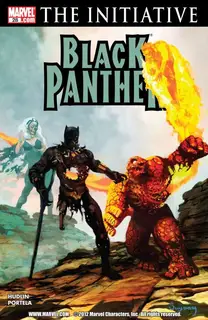 Cover of Black Panther #28