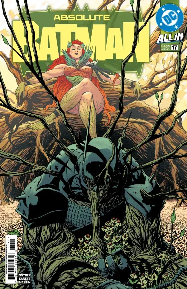 Cover of Absolute Batman #17