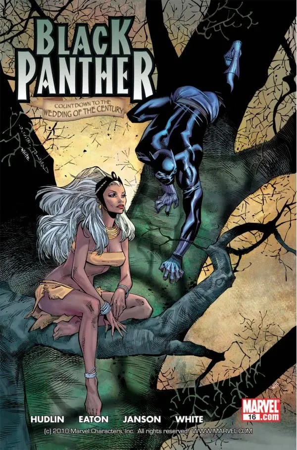 Cover of Black Panther #16