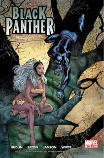 Cover of Black Panther #16