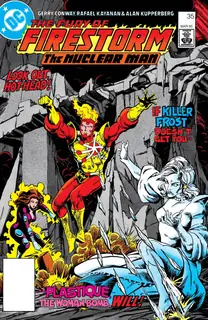 Cover of The Fury of Firestorm #35