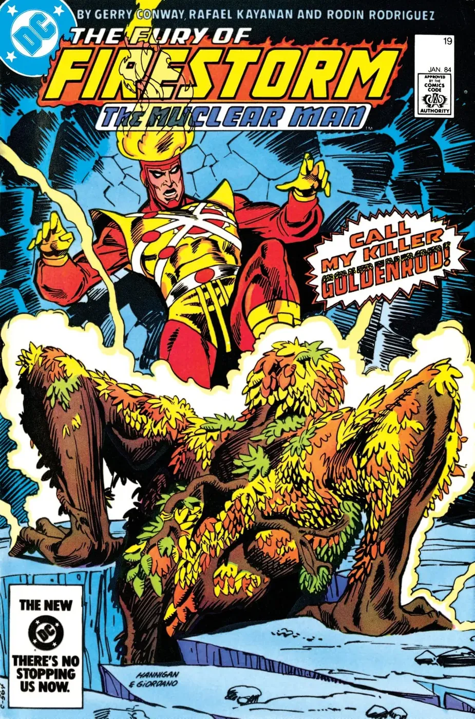 Cover of The Fury of Firestorm #19