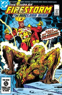 Cover of The Fury of Firestorm #19
