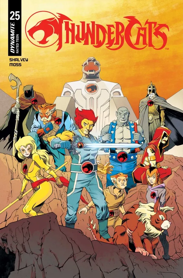 Cover of ThunderCats #25